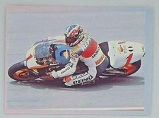 Sticker MICHAEL DOOHAN  HONDA - FIM 500 cc  (Moto GP) Portuguese Collection 1996