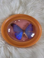 PETIT CADRE PLASTIQUE PAPILLON