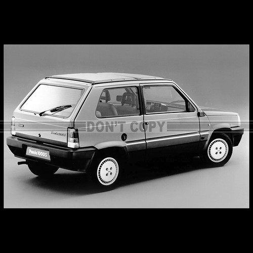 Photo 024869 fiat panda 1000 - a.024869,