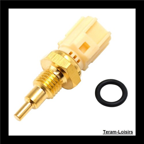 Sonde température thermostat - température,