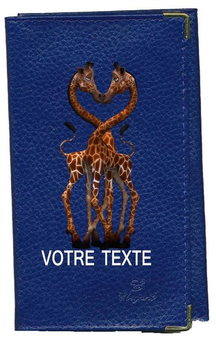 Etui carte grise bleu - en,