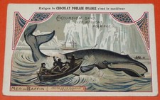 CHROME 1900-1930 CHOCOLATE FOAL POLAR EXCURSIONS POLE WHALE FISHING MAFFIN
