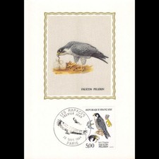 Carte Maximum v4 - N° 2340 -