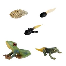 Jeu de Rôle éducatif de