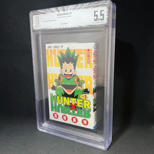 Bgs hunter x - x,