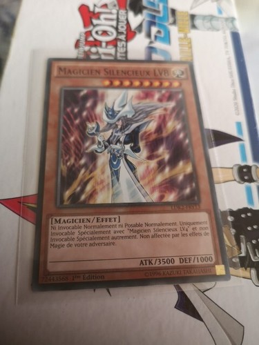 Magicien silencieux lv8 - silencieux,