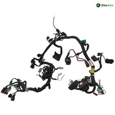 Faisceau electrique KTM DUKE