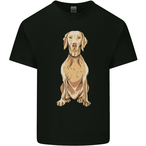 Shirt coton léger - en,
