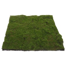  Gazon artificiel fausse