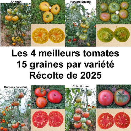 Graines 4 variétés - graines,
