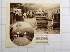 1932 Madeira - Madeira, tourists descend into wicker baskets