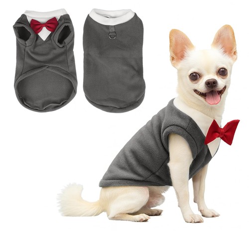 Pull pour chien avec - , nœud