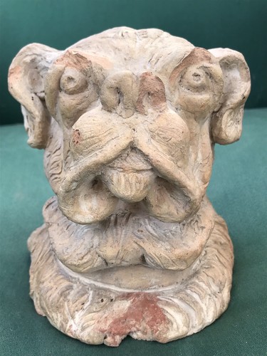 Rare buste chien terre - chien, cuite