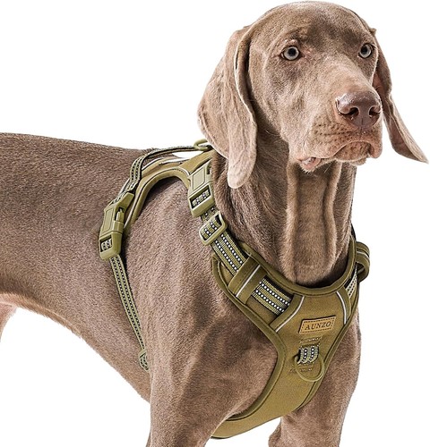 Large dog harness no - harness,, pull