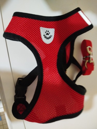 Harnais veste gilet - harnais, chien