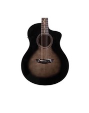 Washburn 6 String