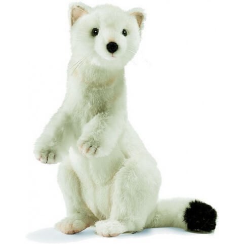 Peluche hermine blanche