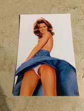 CARTE POSTALE 15X10 ASLAN PIN