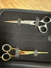 Ciseaux Professionnel De