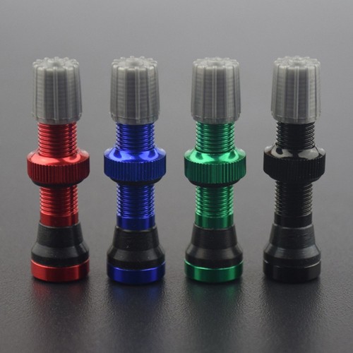 Valve tubeless pour - ,