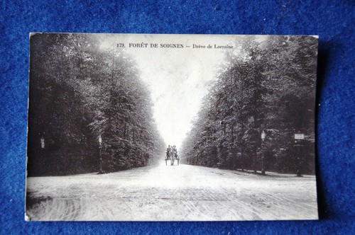 Foret soignes dreve - foret, de