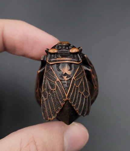 Netsuke cigale sur une noix - cigale,