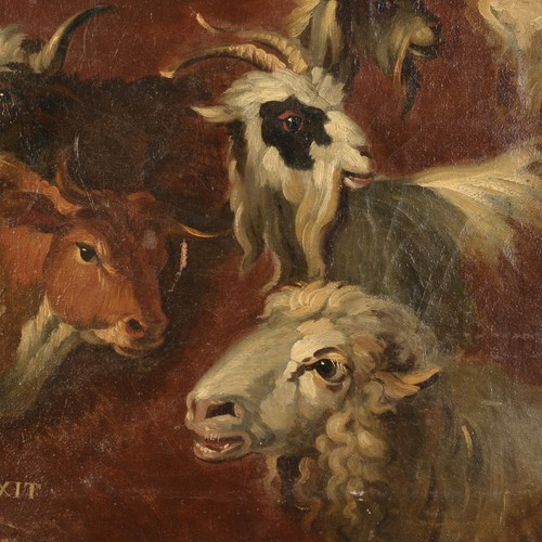Etude animaux huile toile - etude,