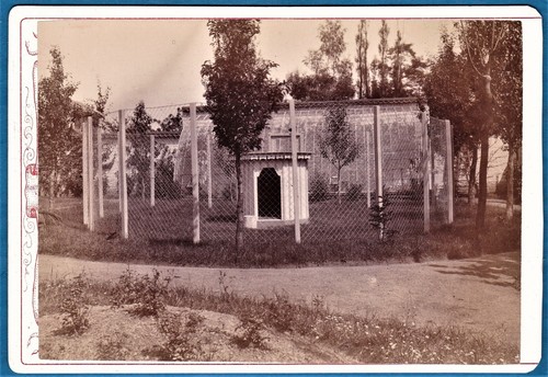 Cabinet card photo voliere - cabinet,