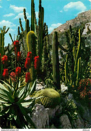 Carte postale fleurs - fleurs,