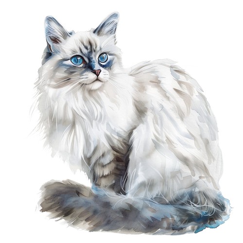 Autocollants ragdoll chat - 6, x