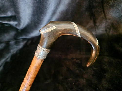 Canne ancienne corne - canne,