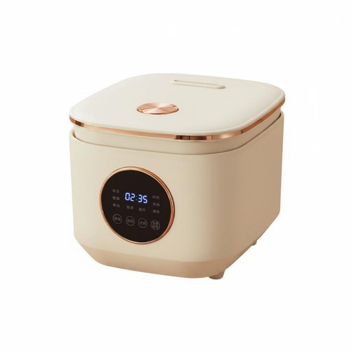 Cuiseur riz multifonction - cuiseur,