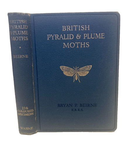 British pyralid and plume - and,