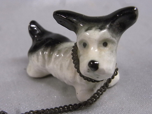 Petit chien fox - petit,