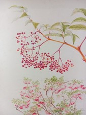 Paul Seguin-Bertault