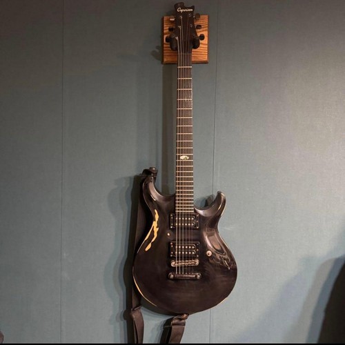 Caparison angels electric - caparison,