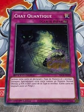 Carte Yu Gi Oh CHAT QUANTIQUE