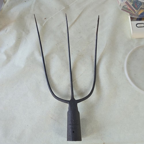 Tête fourche dents - tête,