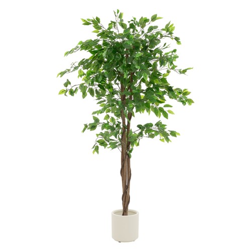 Plante artificielle ficus