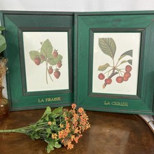 VTG Pair of French Botanical Fruit Prints La Fraise La Cerise Strawberry Cherry