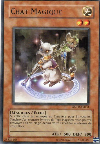 Chat magique carte - carte,