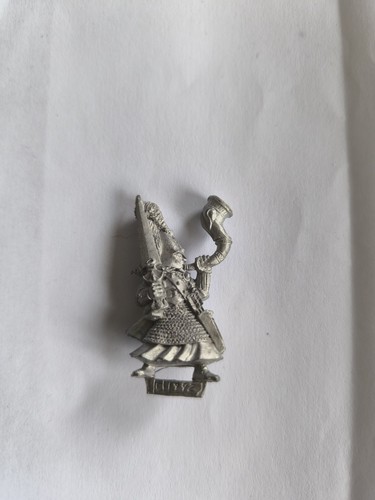 Champion haut elfe warhammer - elfe,