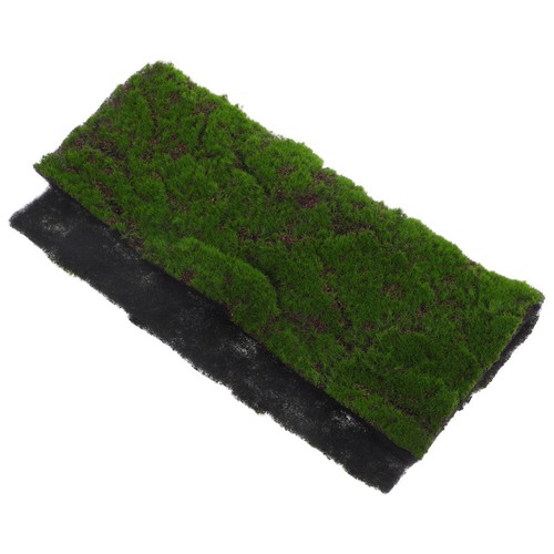 Chemin table gazon - chemin, en