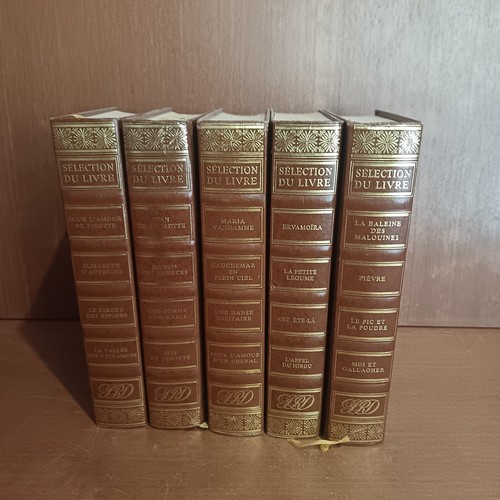 Livres reliés cuir dorure - livres,