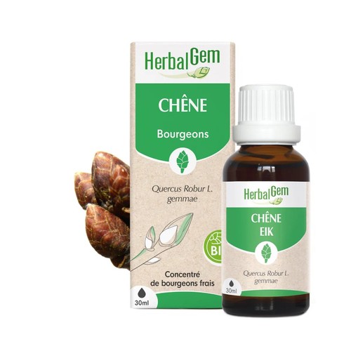 Bourgeon chêne bio - chêne,