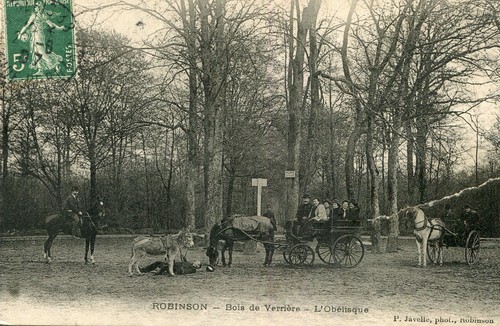 Plessis robinson bois - le,