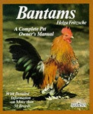 Bantam Poules Broché Helga