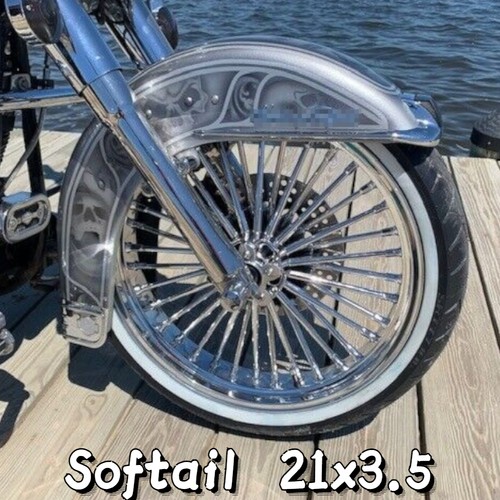 21x3 fat spoke front wheel - fat,