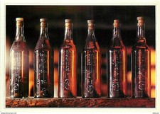 Vignes - Cognac Hennessy -