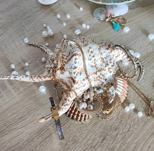 Coquillage porte bijoux - coquillage, porte-bijoux